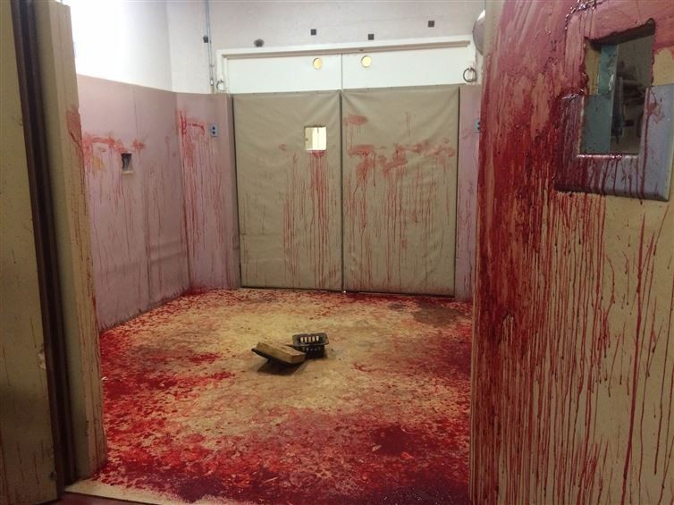 The aftermath of a horse's nosebleed at the Vet's office.