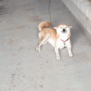 The “I’M SO HAPPY TO SEE YOU but I’m going to act cool about it”: The “I’M SO HAPPY TO SEE YOU but I’m going to act cool about it”: