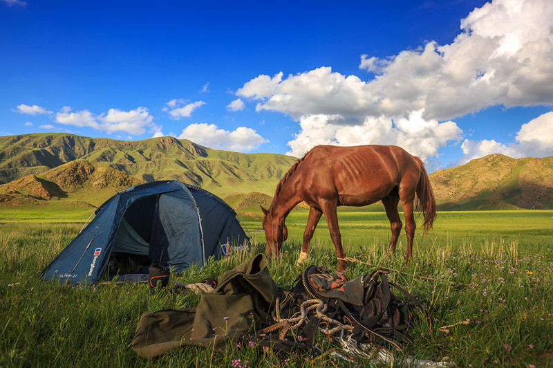 I Crossed Kyrgyzstan With 2 Horses In 6 Weeks