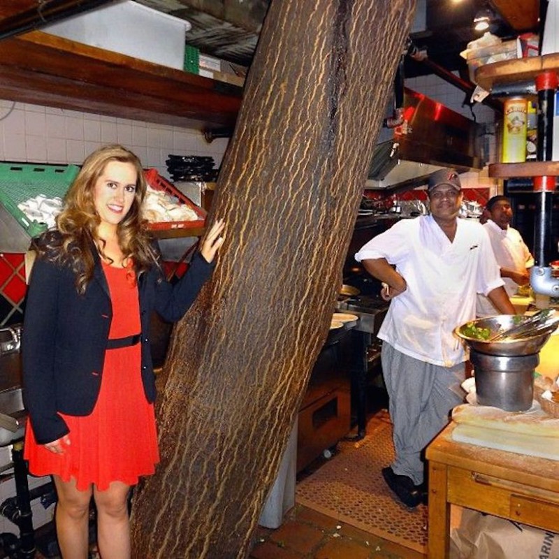 #15 Kit Kat Restaurant In Toronto Has A 4 Story Tree Growing Out The Of The Kitchen Area.