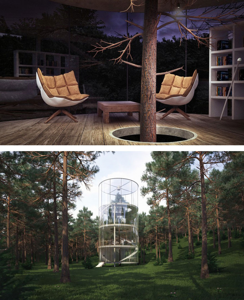 #10 Cylindrical Glass House Built Around A Tree