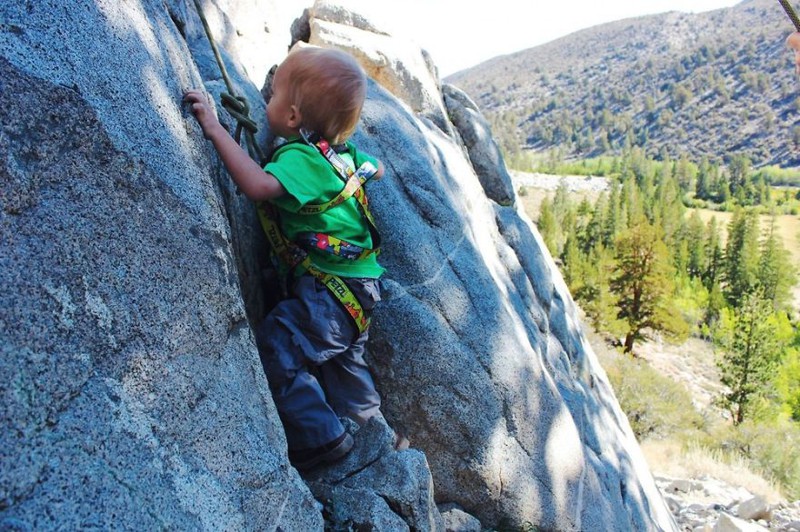 Before Turning 2 Years Old, He Hiked More Than 483 Km With His Parents