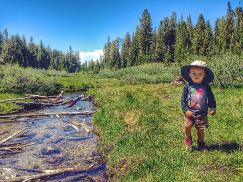 Before Turning 2 Years Old, He Hiked More Than 483 Km With His Parents
