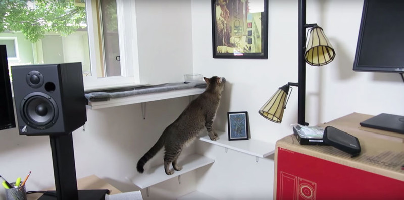 Cat Feeding Machine That Requires His Kitty To Hunt For Food