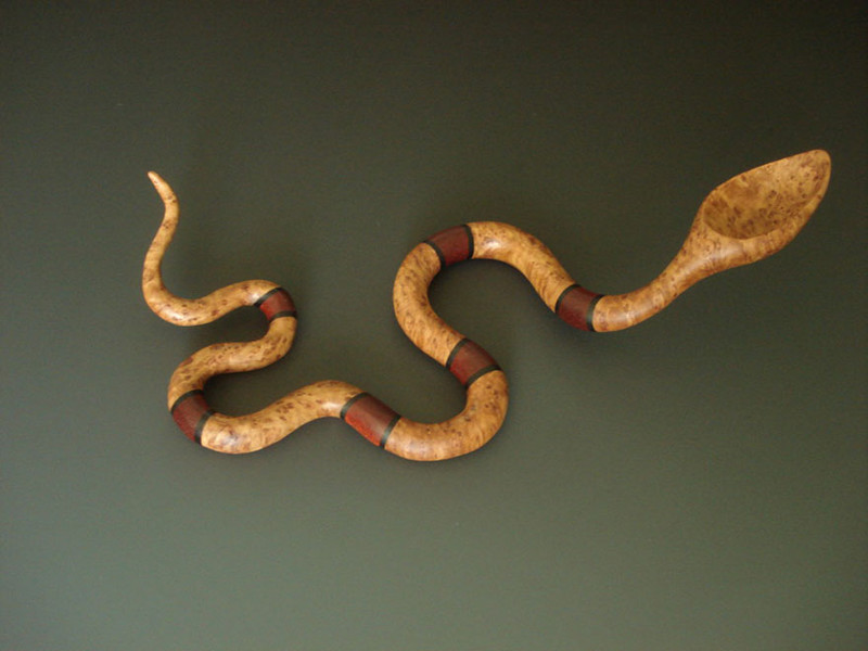 Banded Snake
