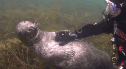 “People ask why I go diving… this is why” “People ask why I go diving… this is why”