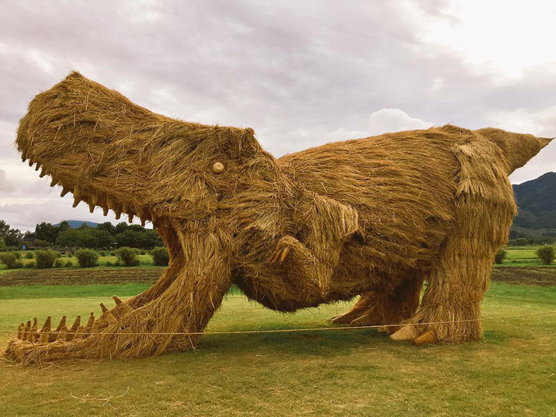 Giant Straw Dinosaurs Invade Japanese Fields After Rice Harvest