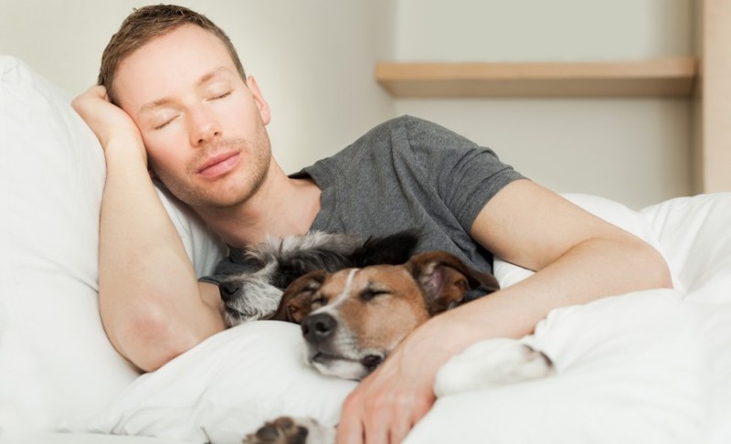 1. Sleeping With a Pet
