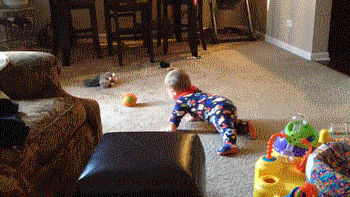 23 Pictures That Prove Dogs Are Closet Assholes 23 Pictures That Prove Dogs Are Closet Assholes
