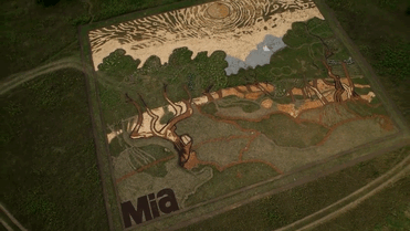 Artist Plants 1.2-Acre Field To Recreate Van Gogh’s 1889 Painting ‘Olive Trees’ Artist Plants 1.2-Acre Field To Recreate Van Gogh’s 1889 Painting ‘Olive Trees’