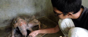 At first, he was afraid of human touch At first, he was afraid of human touch