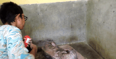 But with gentle care and treatment he started to get better But with gentle care and treatment he started to get better