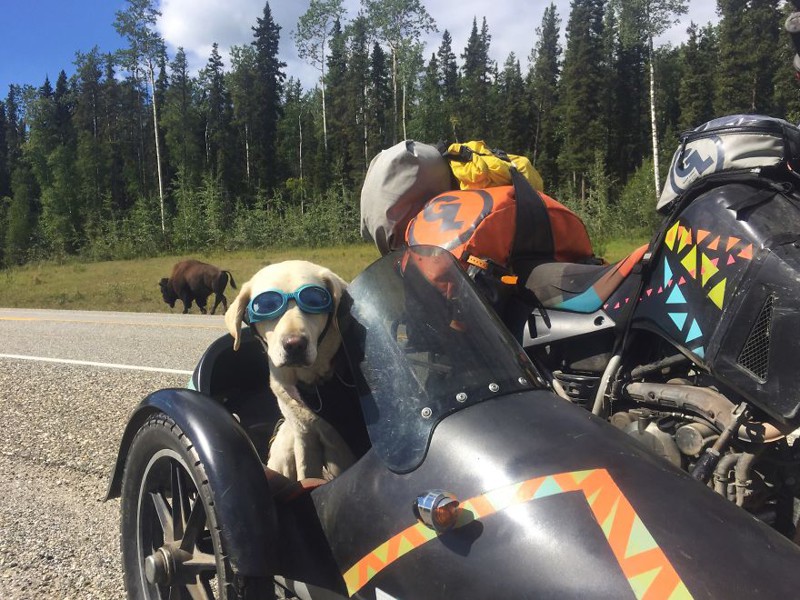 I Motorbiked 6,000 Miles To Alaska With My Dog And We’re Still Going
