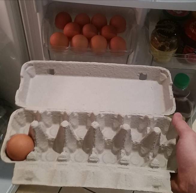 1. "This fridge is designed to hold 11 eggs. Why? Because fuck you, that's why."