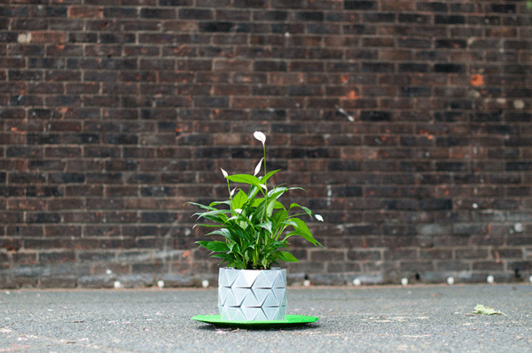 23  Of The Most Creative Planter Designs Ever