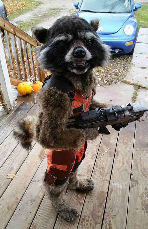 Kid’s DIY ‘Guardians of the Galaxy’ Costume Wins This Year’s Halloween