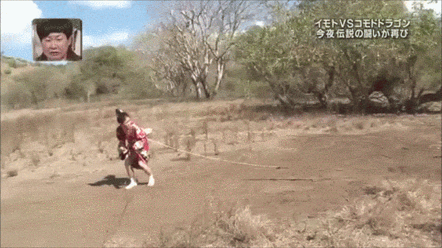 Yes, this TV star is being chased by a Komodo dragon! Yes, this TV star is being chased by a Komodo dragon!