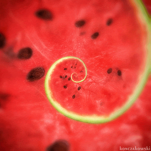 Hypnotizing GIFs Of Everyday Objects By Polish Artist Hypnotizing GIFs Of Everyday Objects By Polish Artist