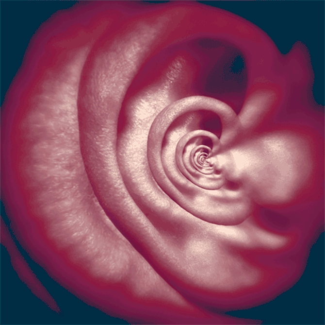 Hypnotizing GIFs Of Everyday Objects By Polish Artist Hypnotizing GIFs Of Everyday Objects By Polish Artist