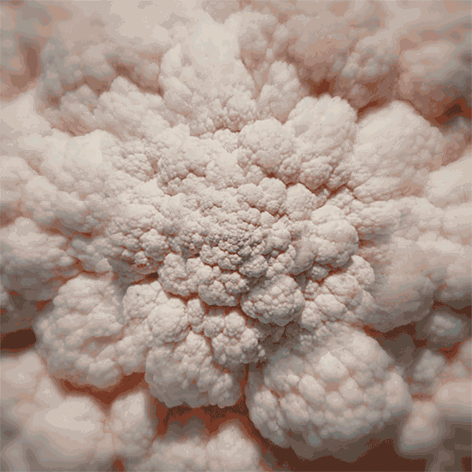 Hypnotizing GIFs Of Everyday Objects By Polish Artist Hypnotizing GIFs Of Everyday Objects By Polish Artist