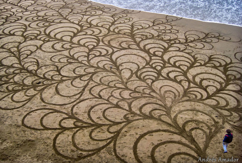 Andres Amador starts these intricate drawings at low tide