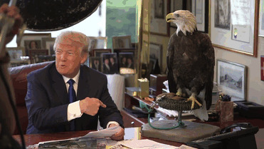 At one point, Trump recoils from the bird as it lunges at him