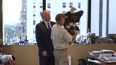 The eagle, however, had different plans The eagle, however, had different plans