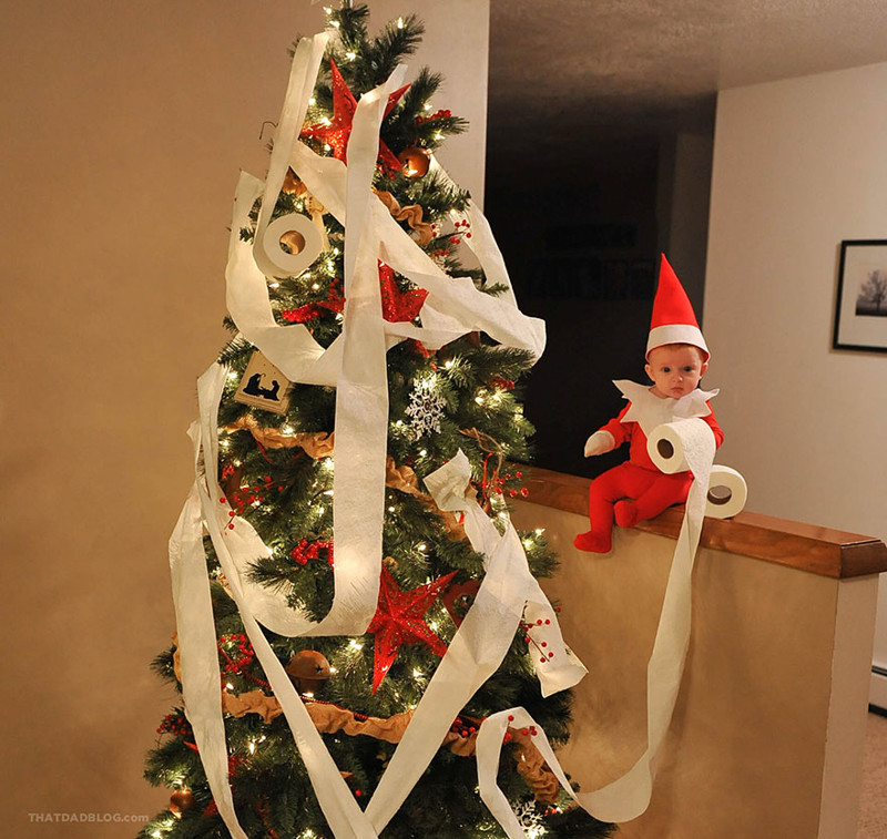 The tiny elf has been caught wrapping the Christmas tree in toilet paper