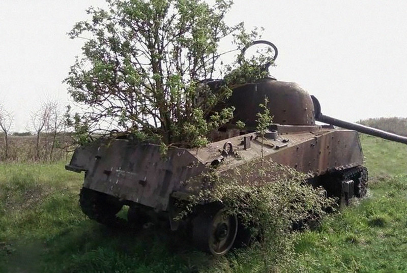 #4 Tank Taken Over By Nature