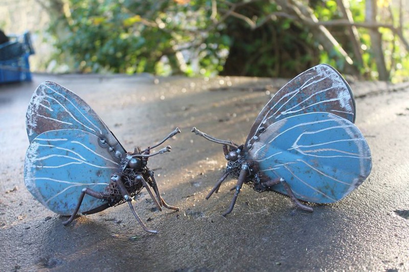 Two holly blue butterflies