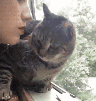 “No…no…no thank you…no THANK YOU…NO THANK YOU NO.” “No…no…no thank you…no THANK YOU…NO THANK YOU NO.”
