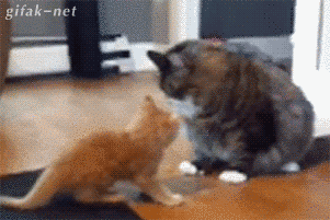 “Nah, son.” “Nah, son.”