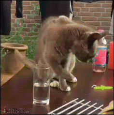 “Put it back, Greg.” “Put it back, Greg.”