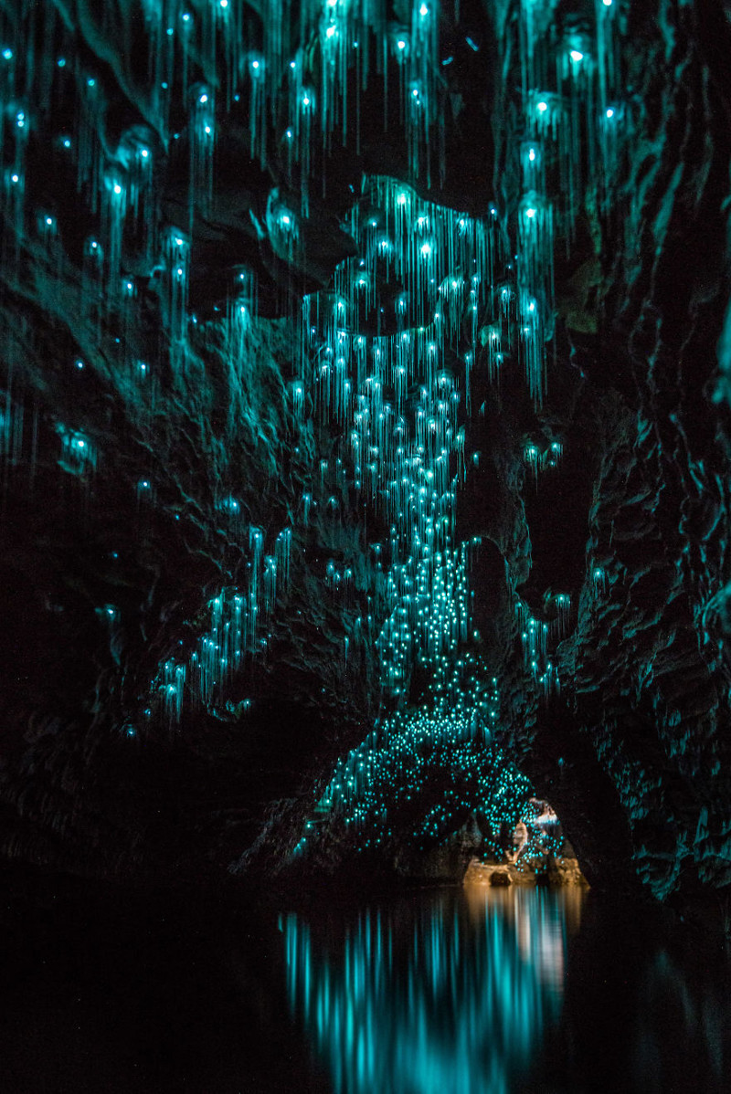 Glow Worms Turn New Zealand Cave Into Starry Night