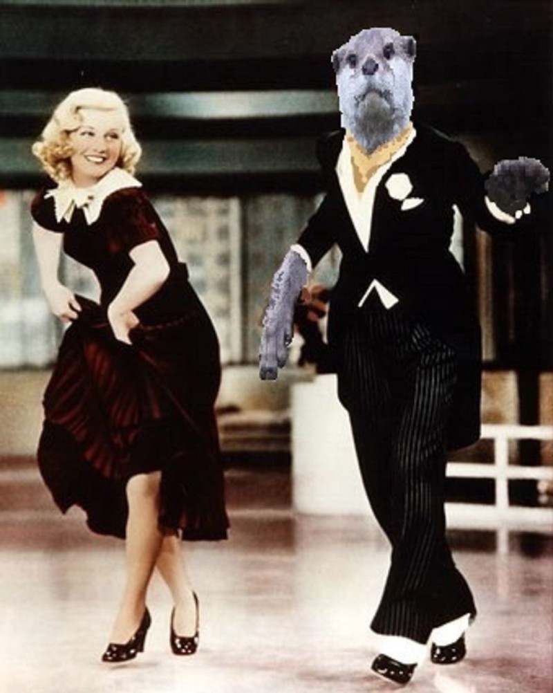 #18 Otterstaire And Ginger Rogers