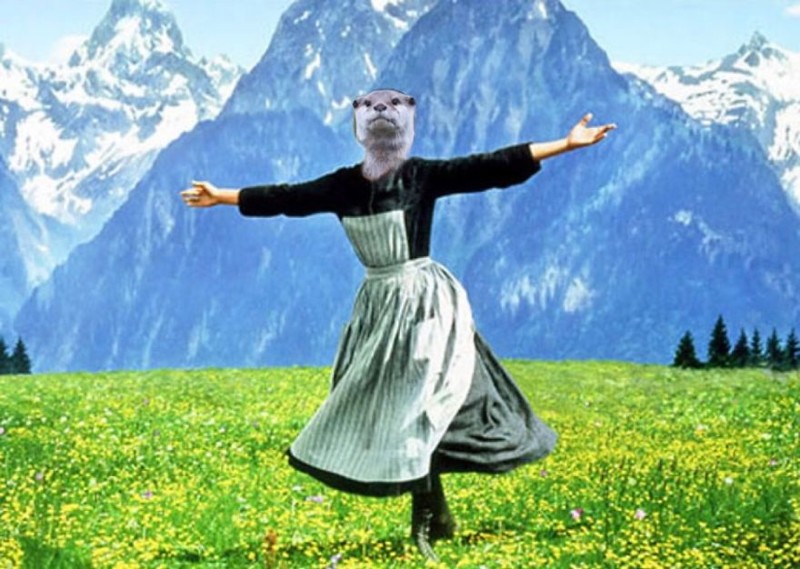 #12 The Hills Otter Alive With The Sound Of Music....