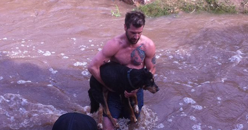 Stranger Undresses And Jumps Into Cold River To Save Drowning 13-Year-Old Dog
