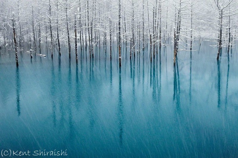 Blue Pond In Hokkaido