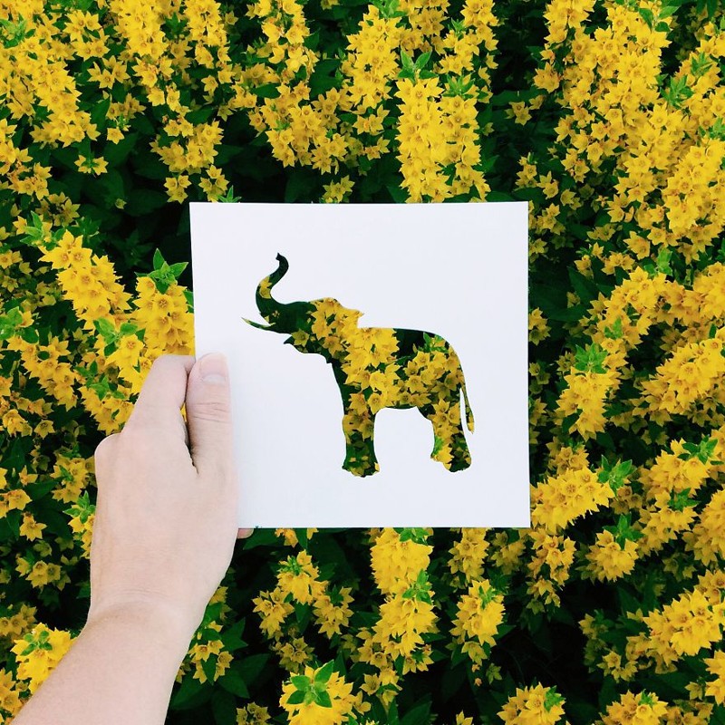 I Use Nature To Color Animal Paper Silhouettes
