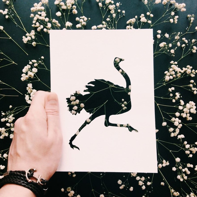 I Use Nature To Color Animal Paper Silhouettes