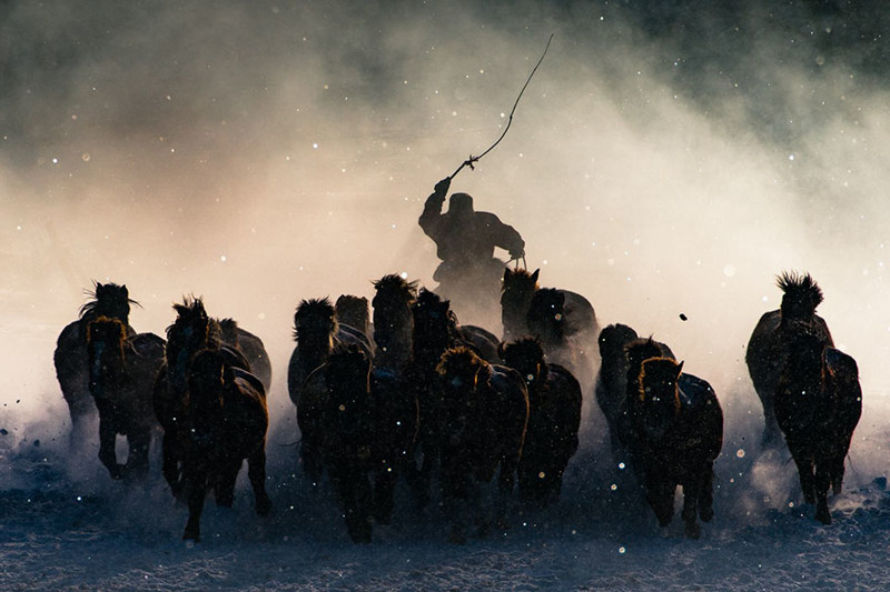 #1 Grand Prize Winner: Winter Horseman, Inner Mongolia