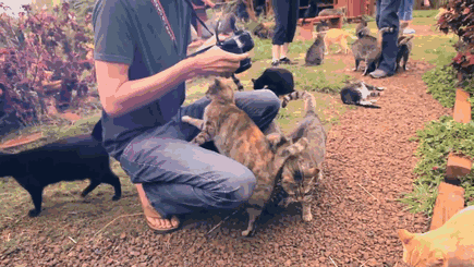 No wonder the sanctuary’s executive director refers to it as the “Furr” Seasons! No wonder the sanctuary’s executive director refers to it as the “Furr” Seasons!