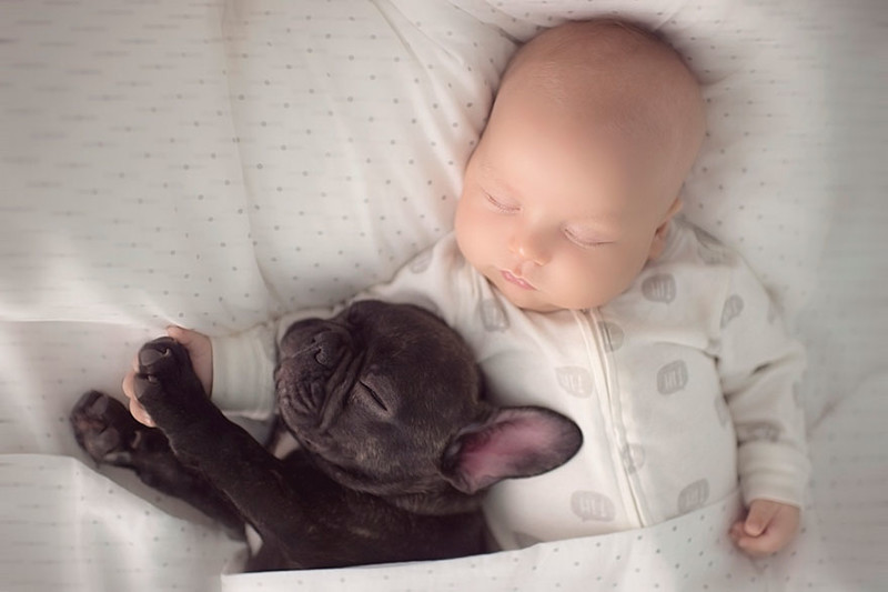 “Farley patiently plays with him and tries not to snore while they both nap”