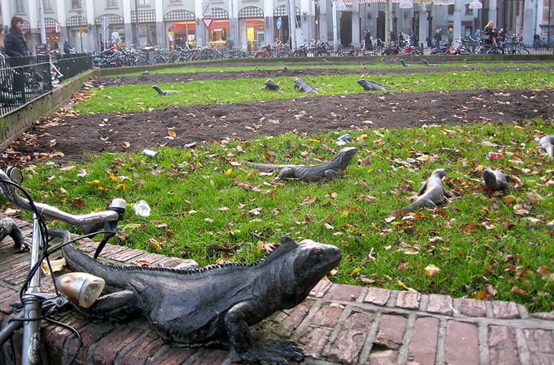 #39 Iguana Park, Amsterdam, The Netherlands