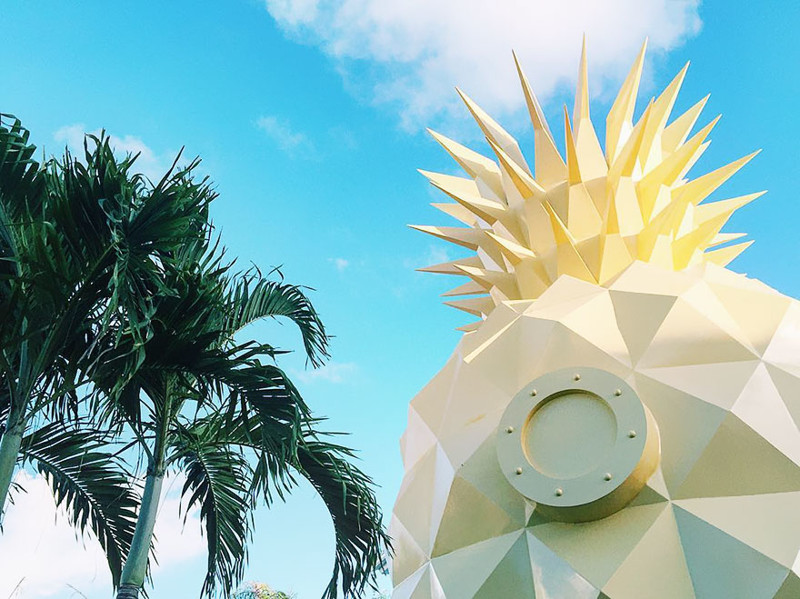 Spongebob Fans Can Now Sleep In A Real-Life Pineapple Hotel, Just Not Under The Sea