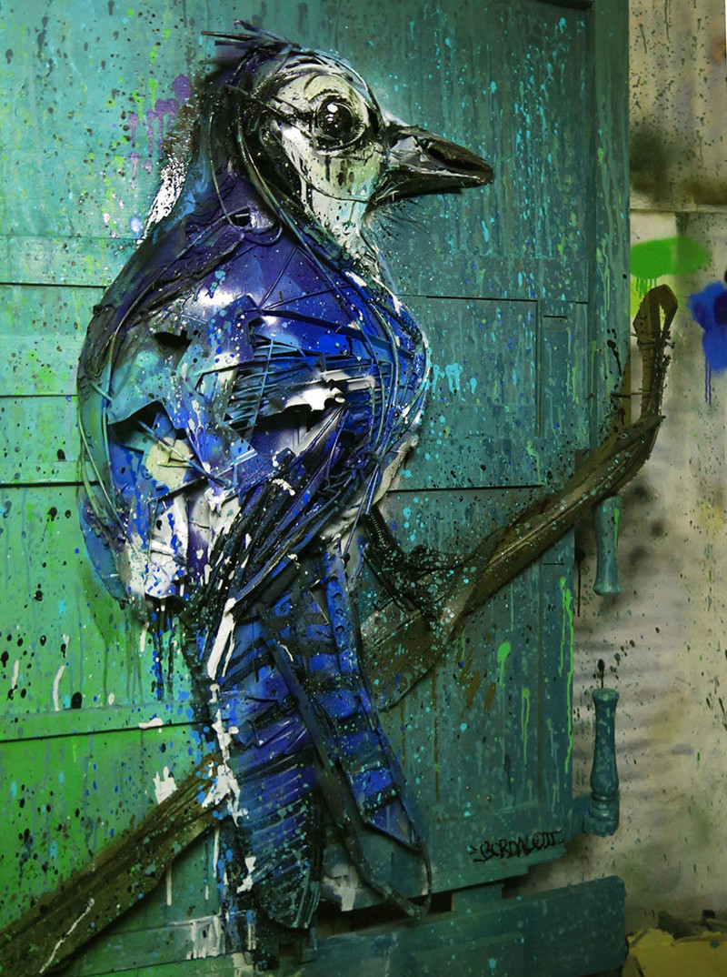 #29 Blue Jay