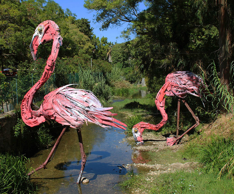 #9 Flamingos