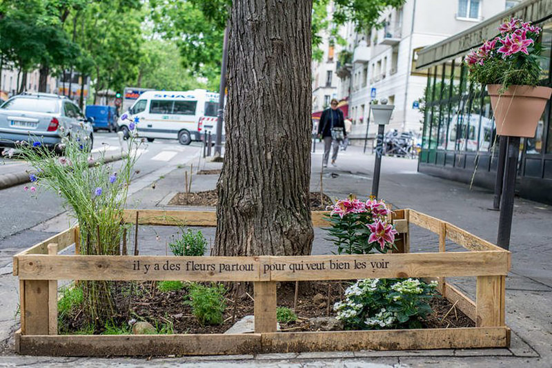 Paris’ New Law Allows Anyone To Plant Urban Gardens