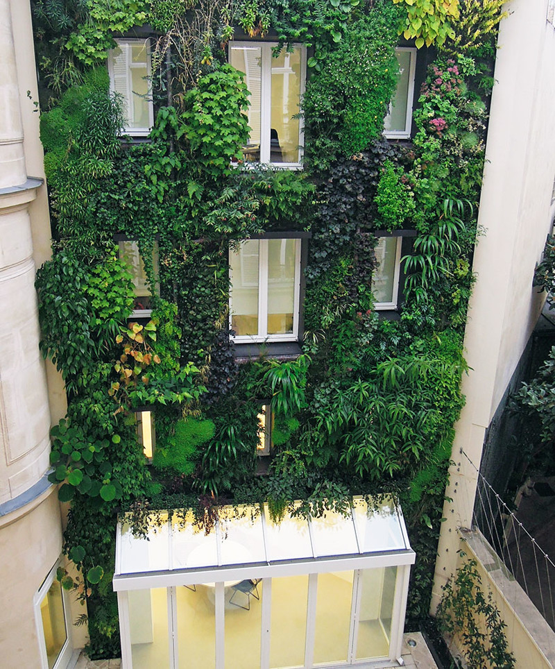 Paris’ New Law Allows Anyone To Plant Urban Gardens