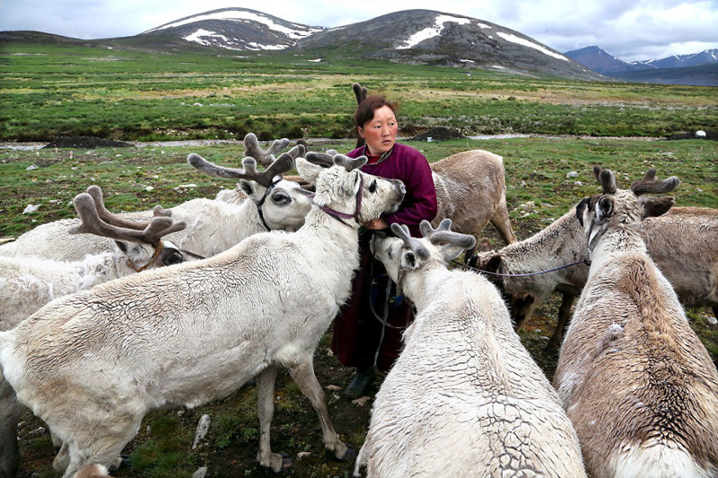 #8 The Tsaatan Nomads In Mongolia